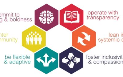 graphic featuring hexagons representing guiding principles